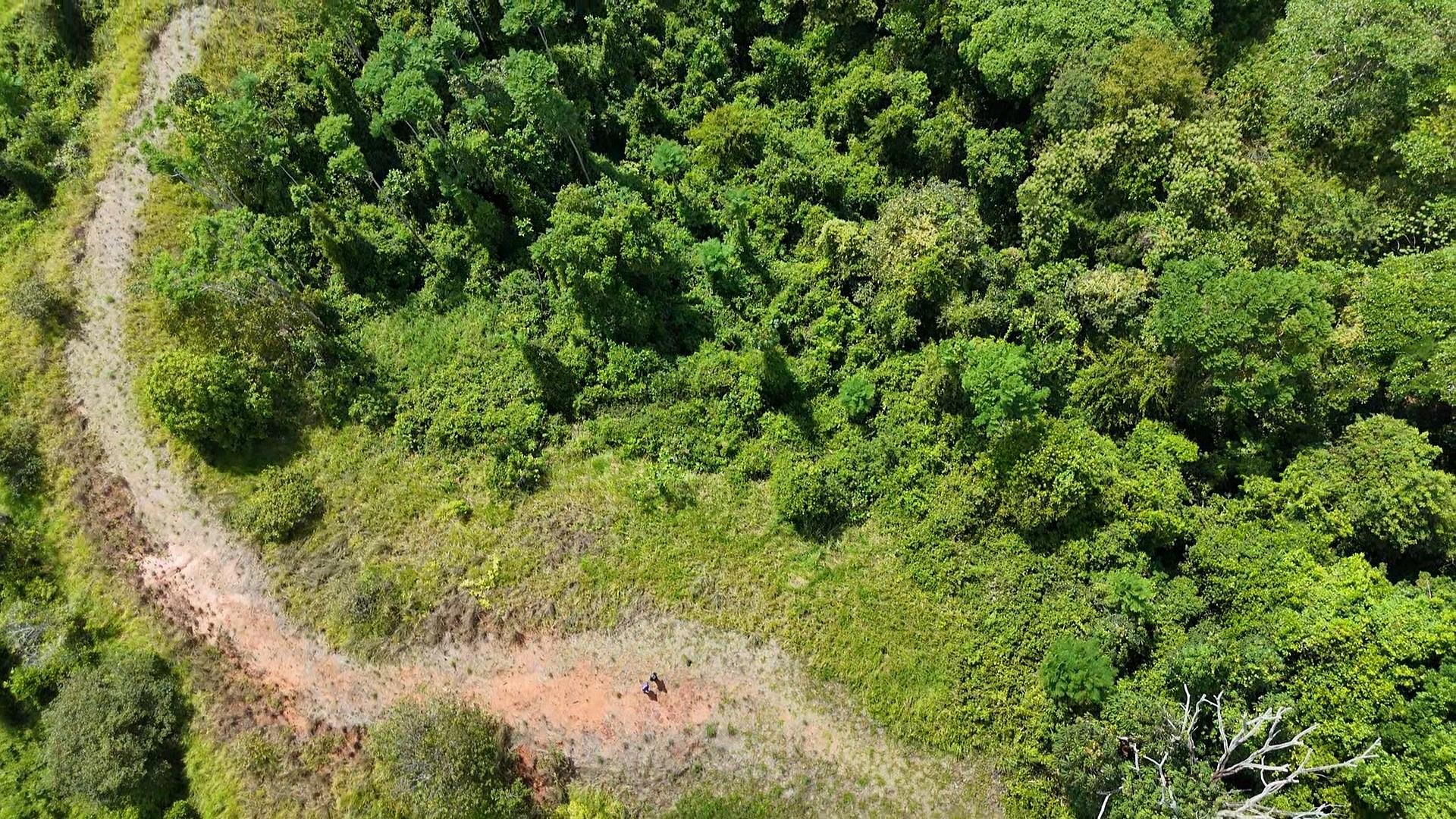 000000 Elevate Your Dreams - 3.70 Acres Of Paradise None Property Photo 4