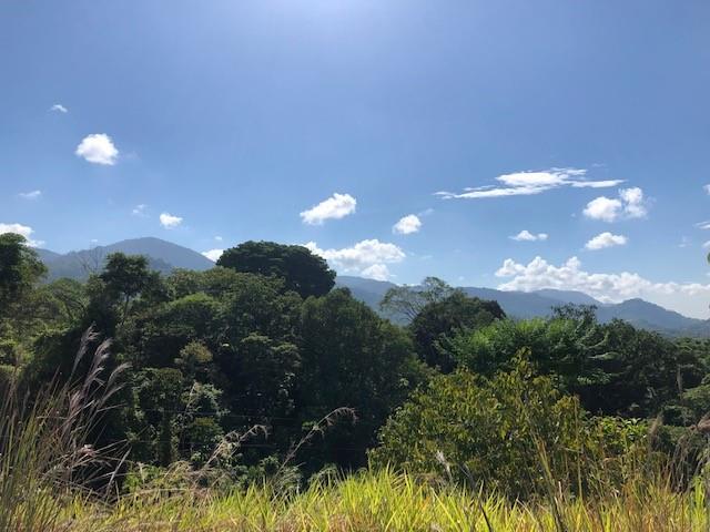 000000 Elevate Your Dreams - 3.70 Acres Of Paradise None Property Photo 6