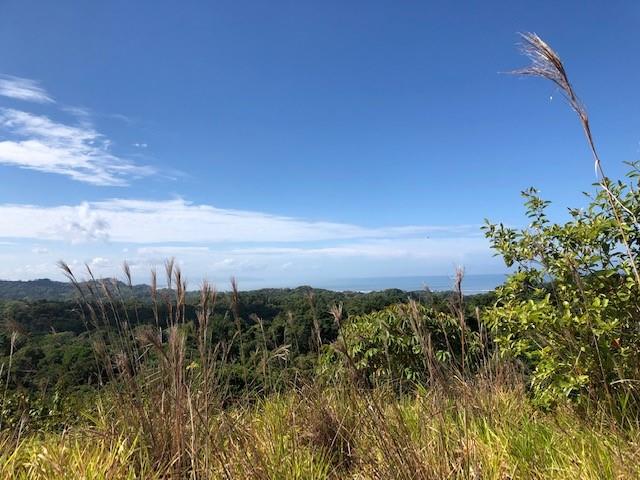 000000 Elevate Your Dreams - 3.70 Acres Of Paradise None Property Photo 7