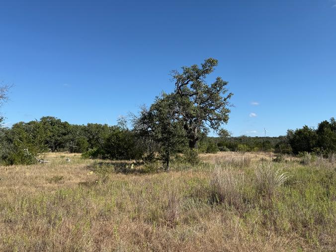 296 E Rolling Oaks Drive None Property Photo 3