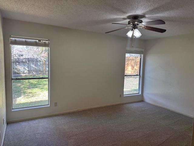 331 Fantail Loop #b Property Photo 11