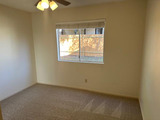 331 Fantail Loop #b Property Photo 14