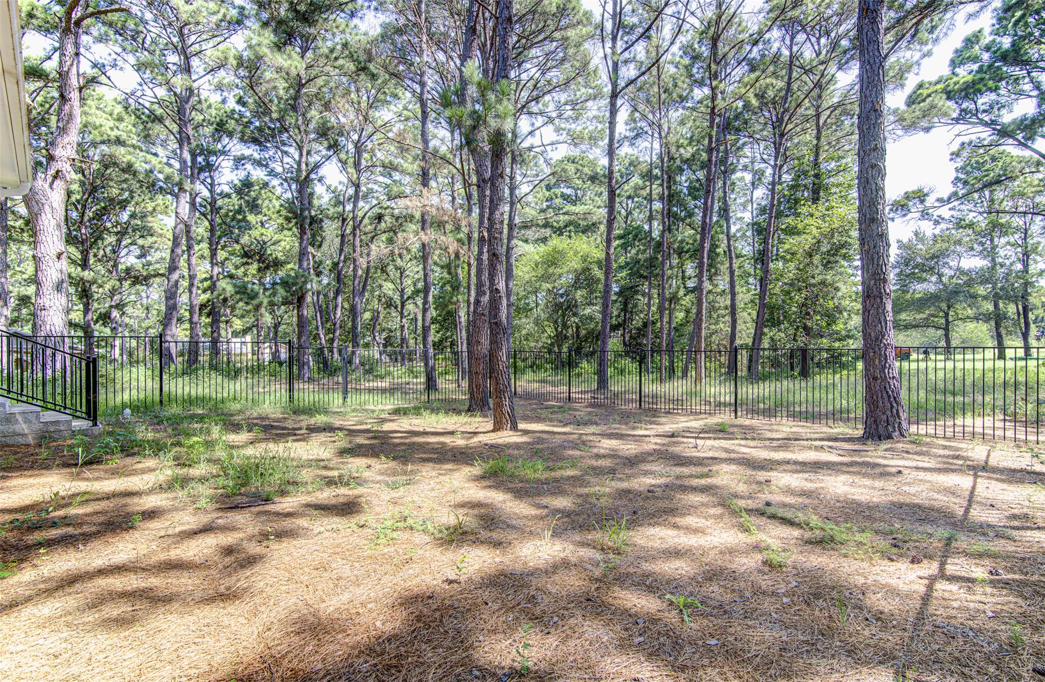 124 Feather Grass Ln Property Photo 30