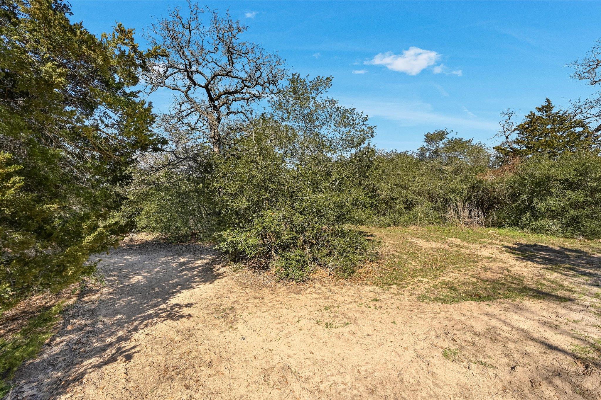 203 Pathfinders Way Property Photo 21