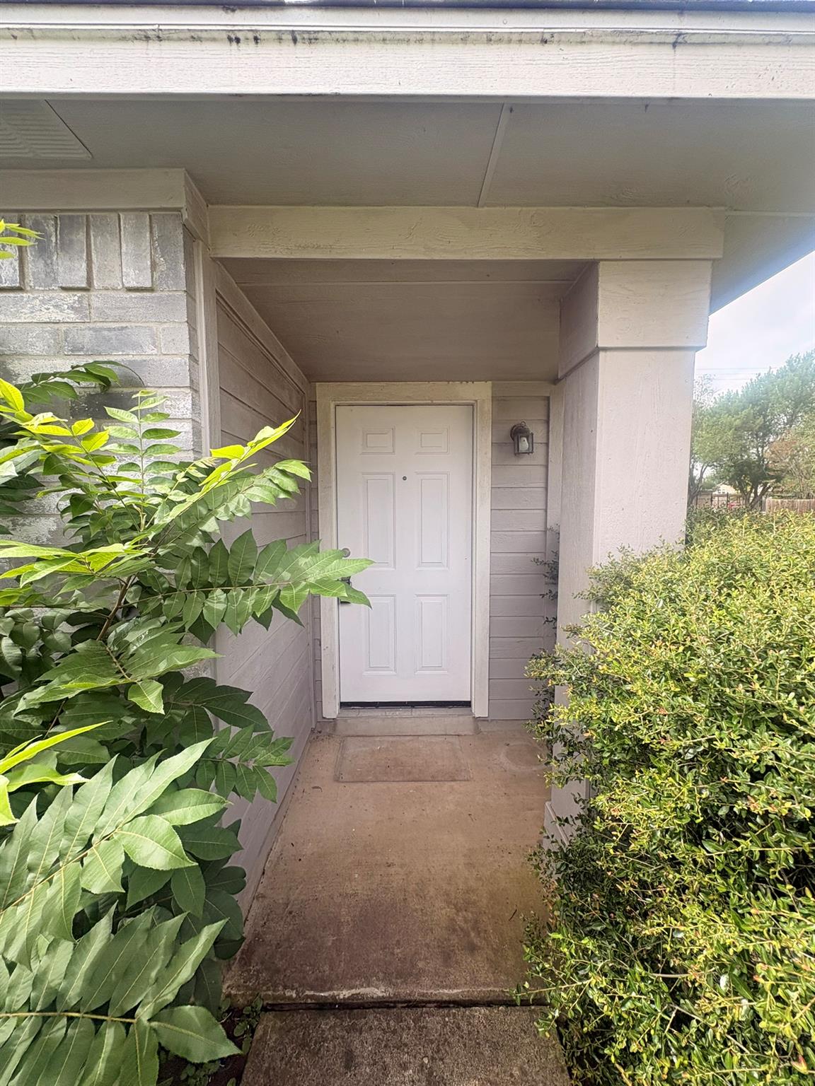 1725 Shire St Property Photo 3