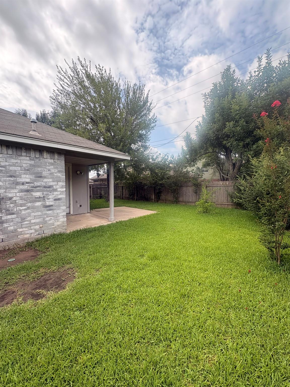 1725 Shire St Property Photo 16