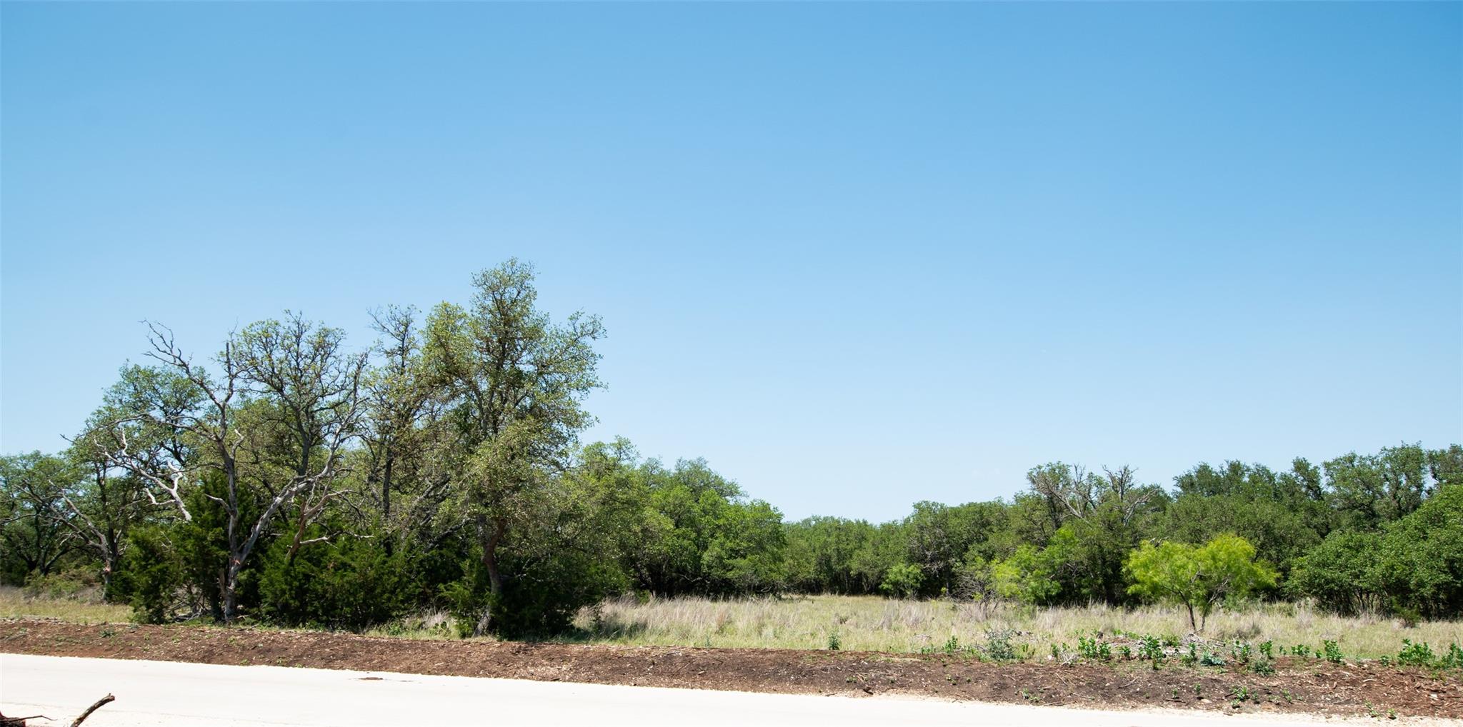 Lot 82 Shin Oak Dr Property Photo 3