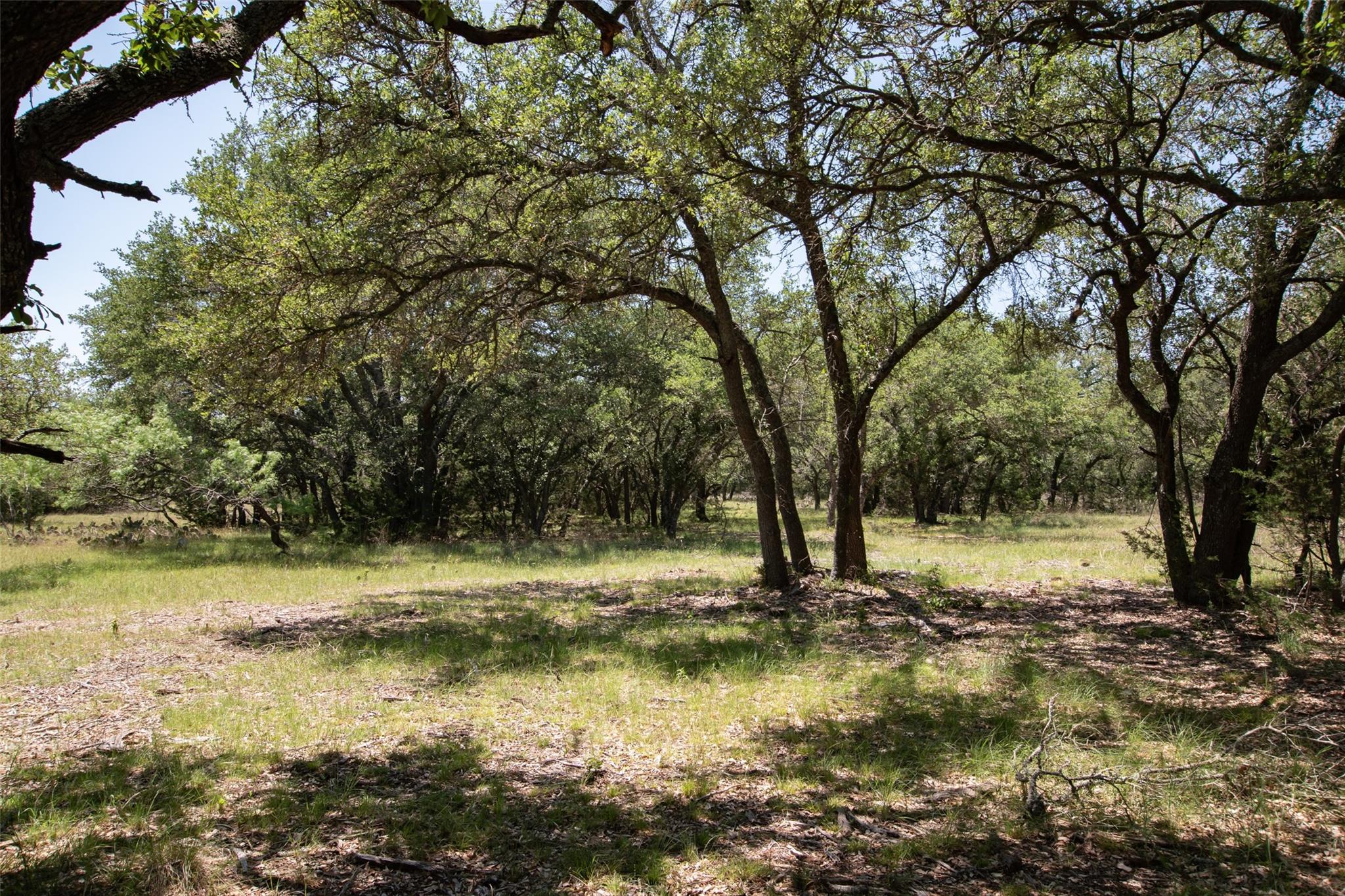 Lot 82 Shin Oak Dr Property Photo 8