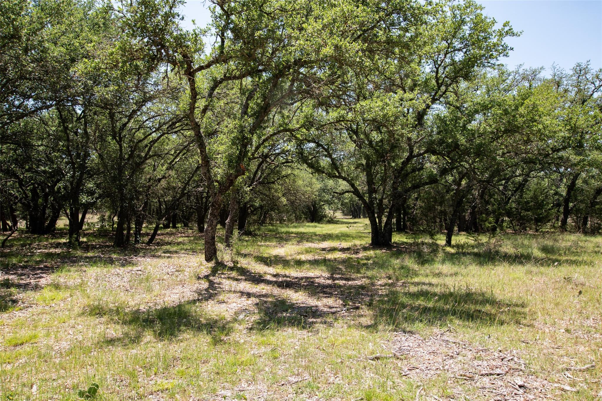 Lot 82 Shin Oak Dr Property Photo 9