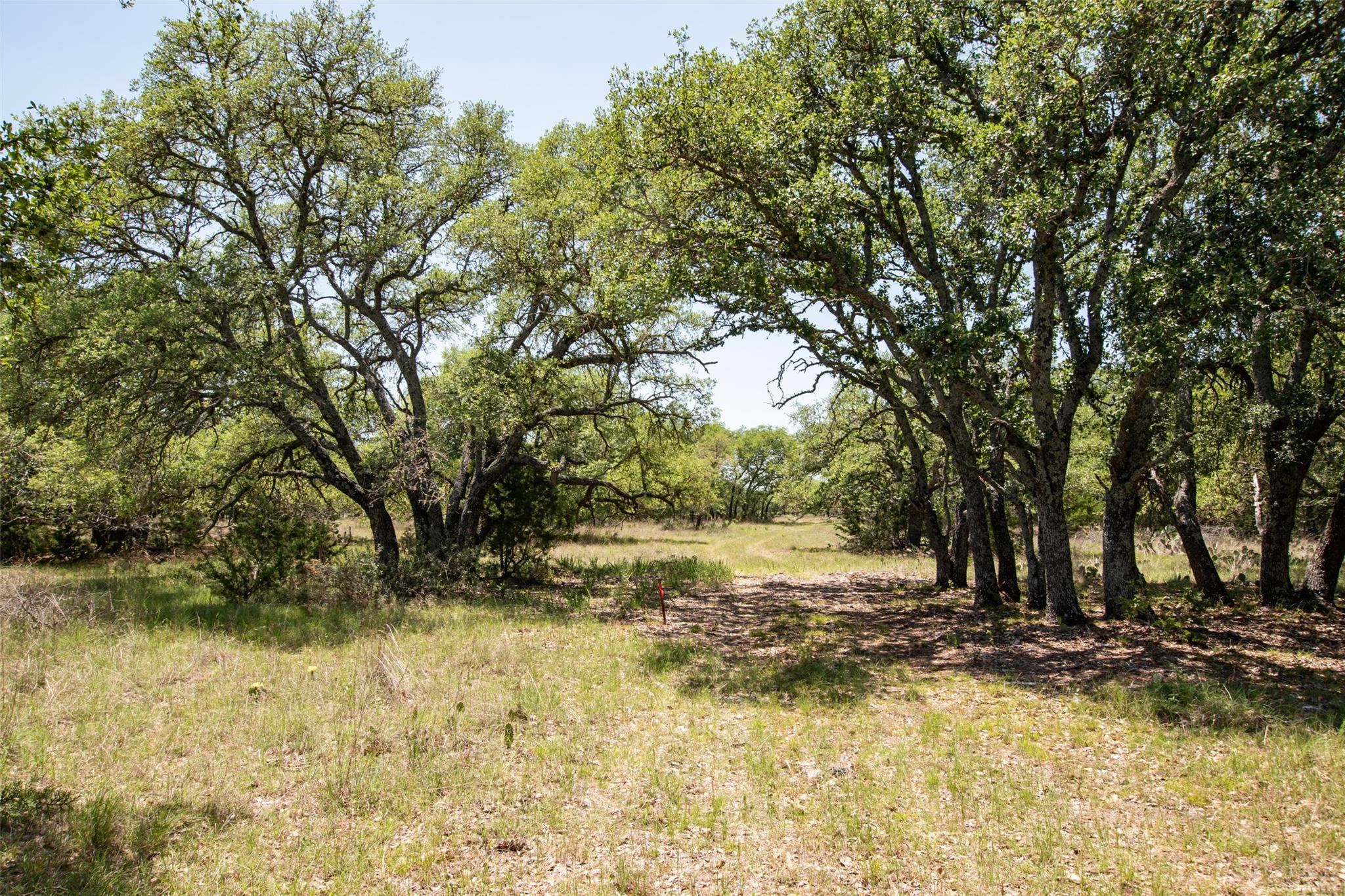 Lot 82 Shin Oak Dr Property Photo 10