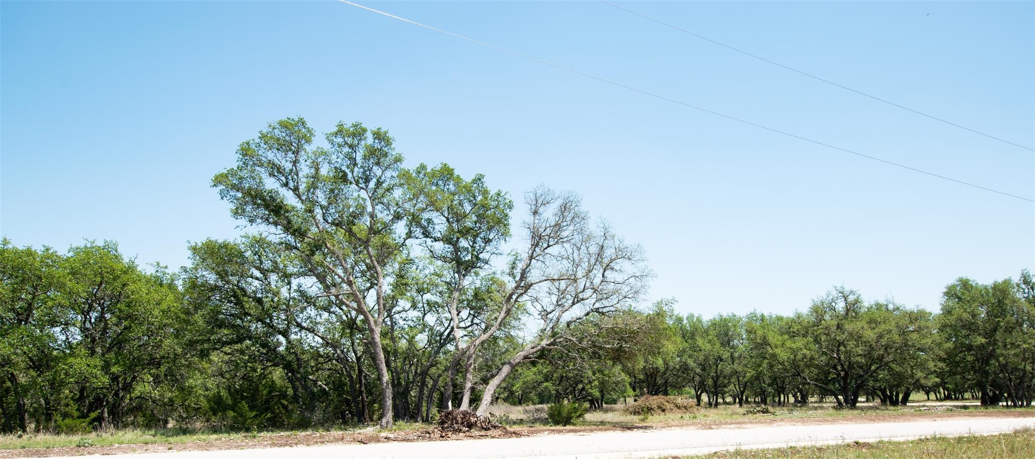 Lot 82 Shin Oak Dr Property Photo 18