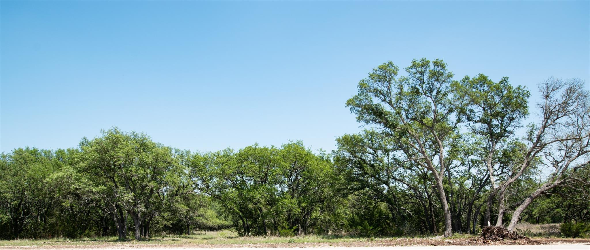 Lot 82 Shin Oak Dr Property Photo 19