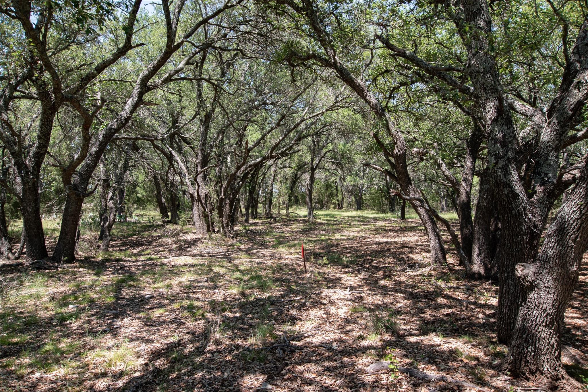 Lot 82 Shin Oak Dr Property Photo 20