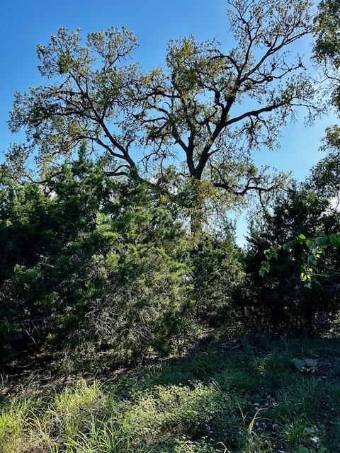 1239 Mystic Cyn Property Photo 5