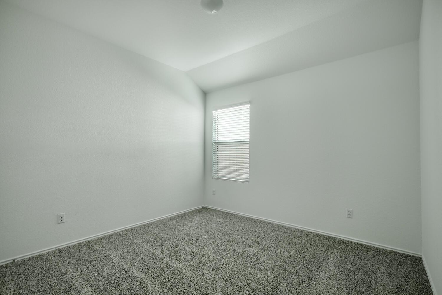 241 Majestic Cedar Ct Property Photo 11