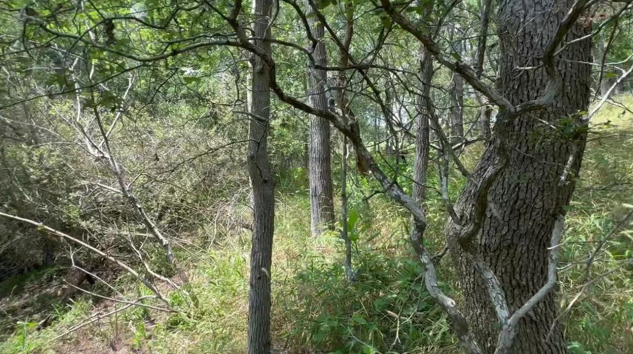 Lot 650 Kaukonahua Ln Property Photo 5