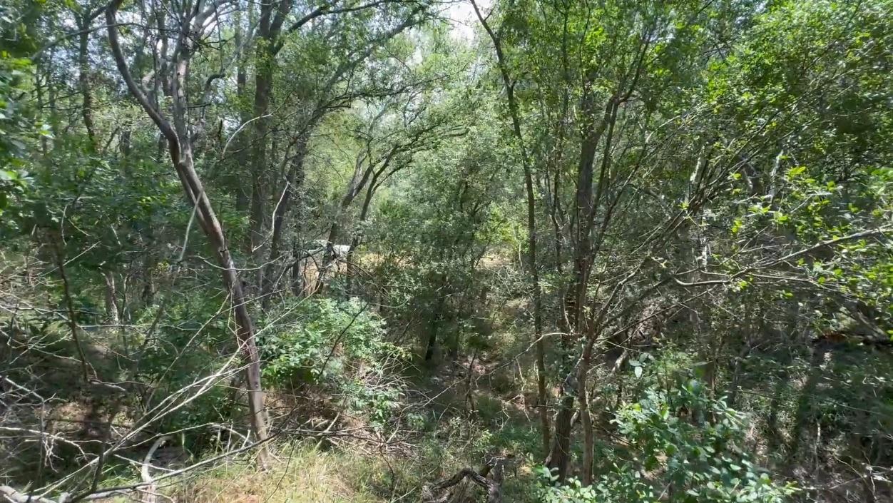 Lot 650 Kaukonahua Ln Property Photo 6