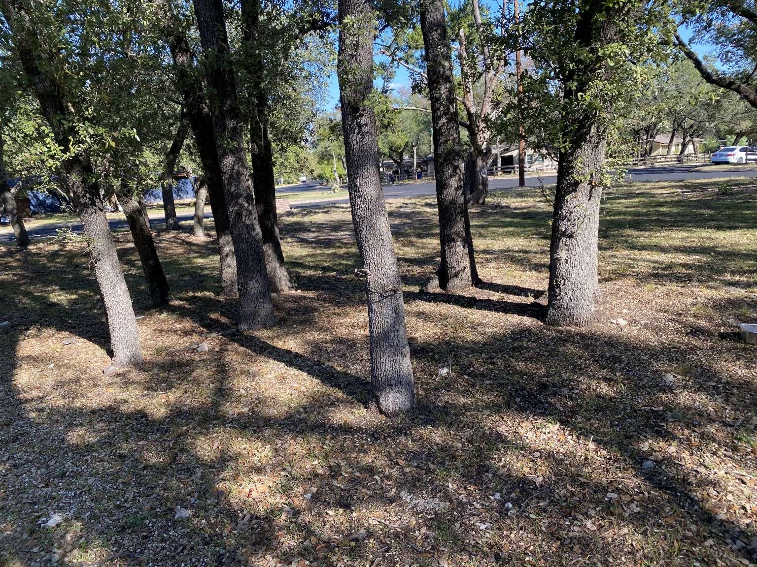 5801 Sierra Madre None Property Photo 7
