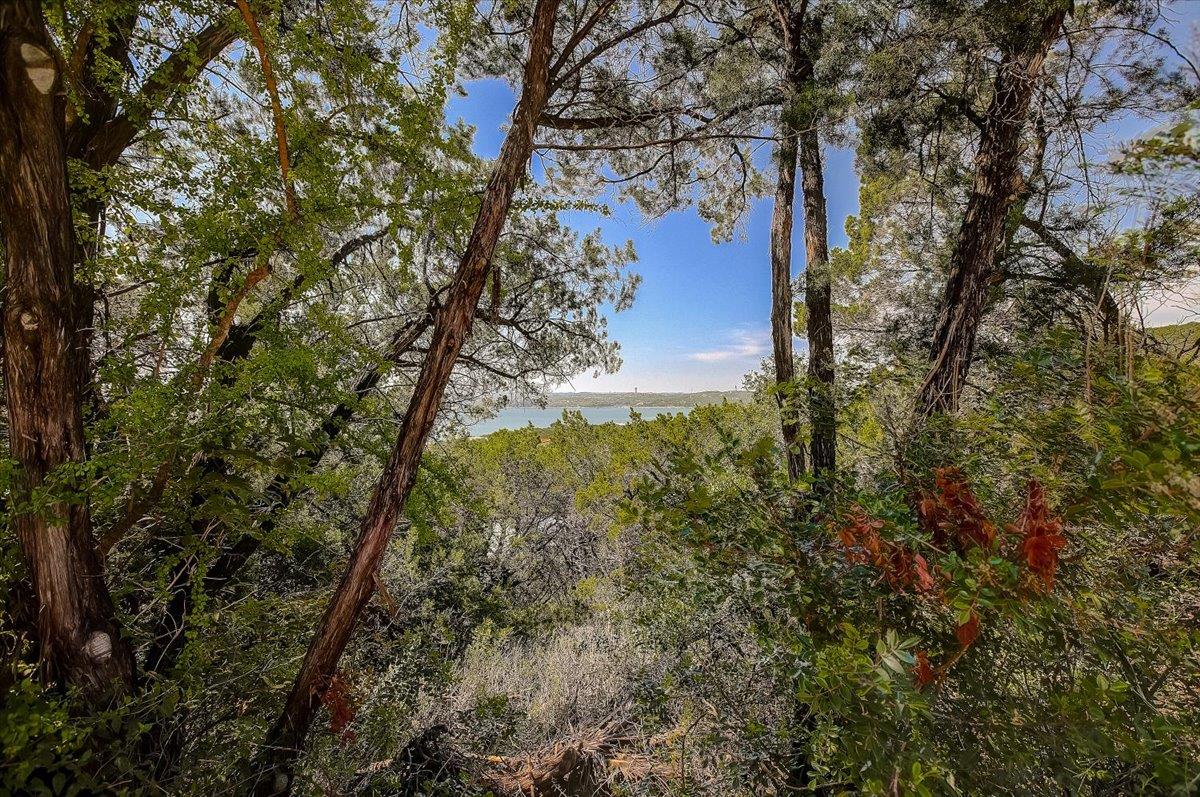 13908 Skyline Dr Property Photo 5