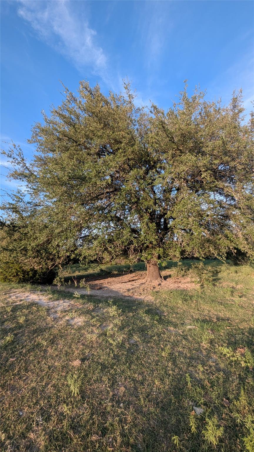 20440 Brooking Rd Property Photo 16