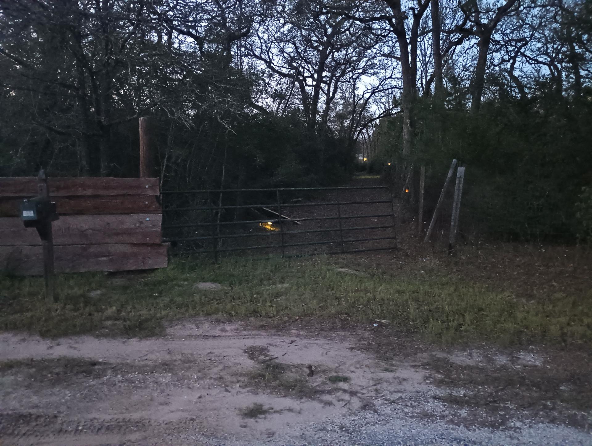 152 Palamino Ct Property Photo 2