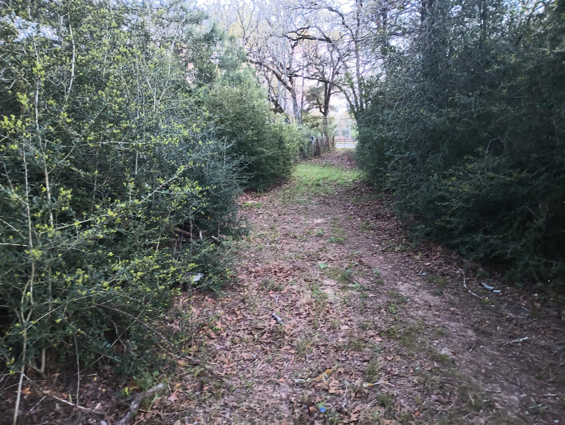 152 Palamino Ct Property Photo 9
