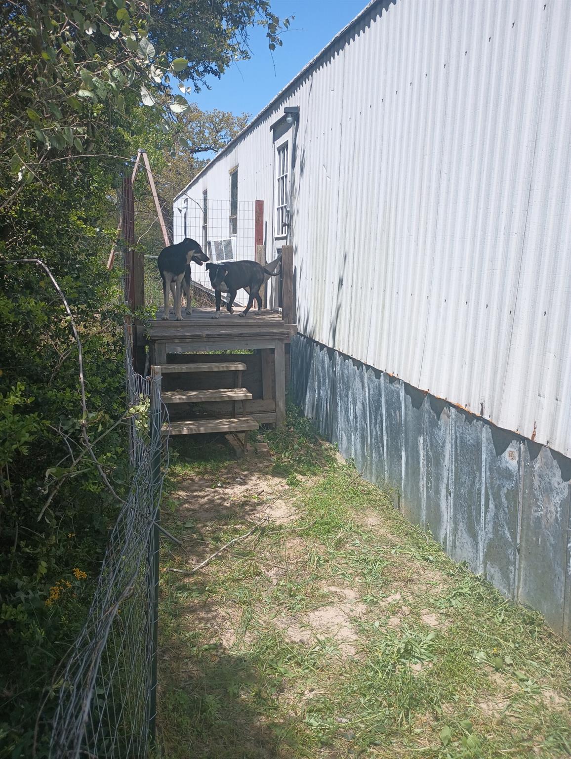 152 Palamino Ct Property Photo 33