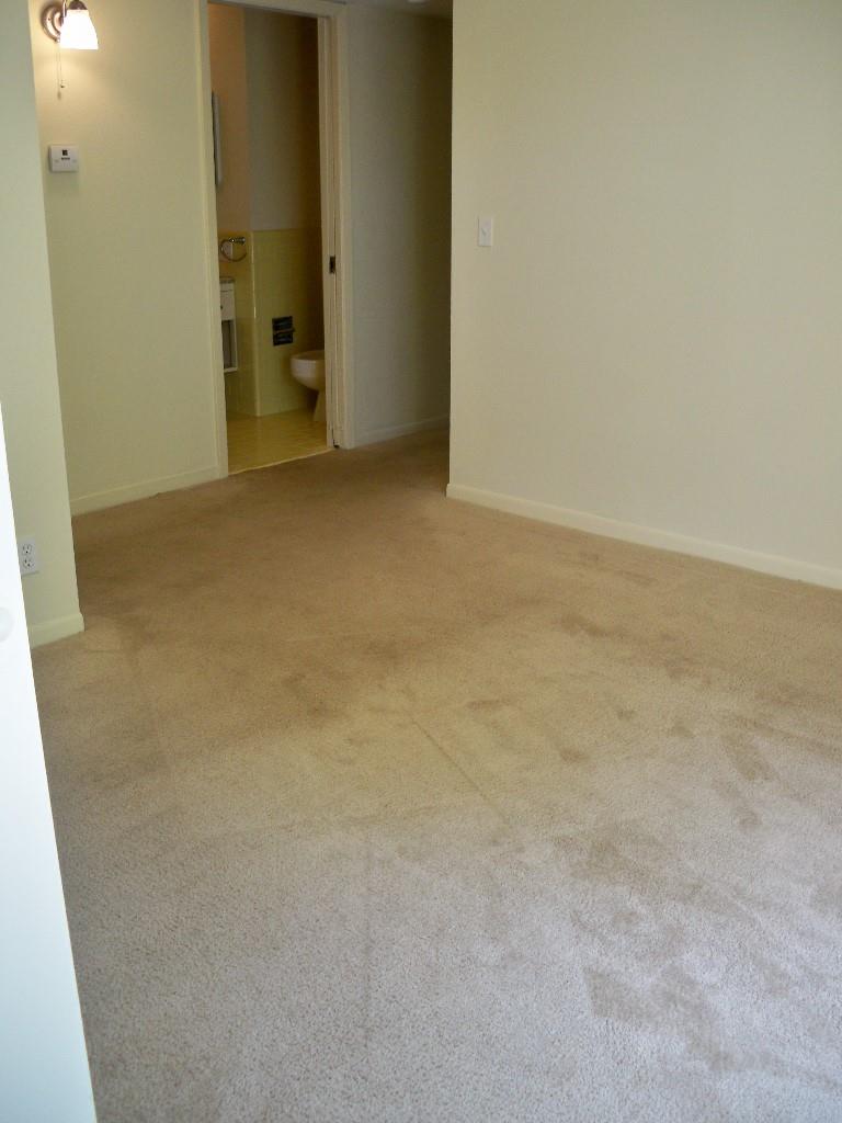 2706 Cole St 102b Property Photo 10