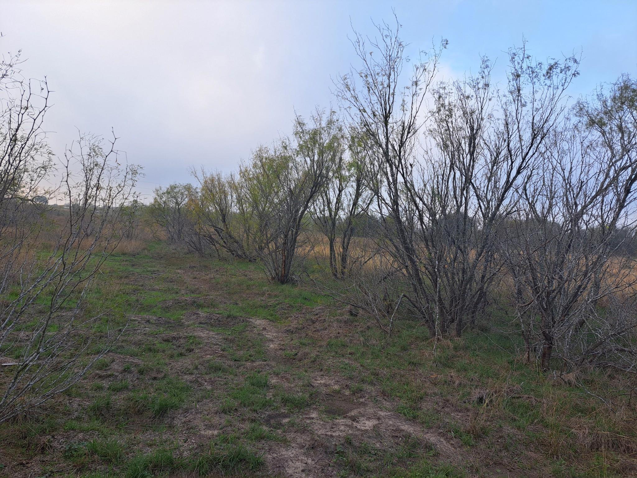 1560 Chalk Rd Property Photo 4