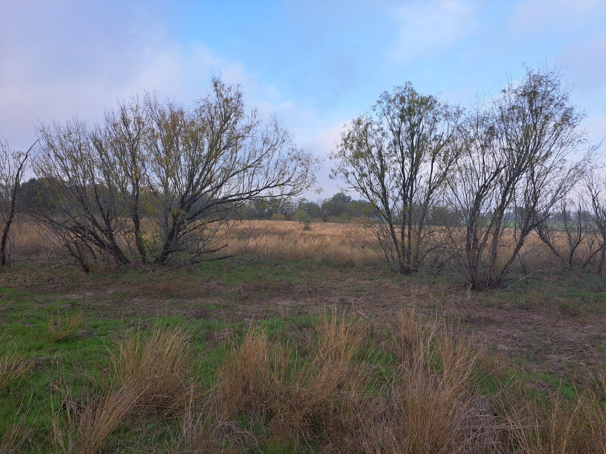1560 Chalk Rd Property Photo 5