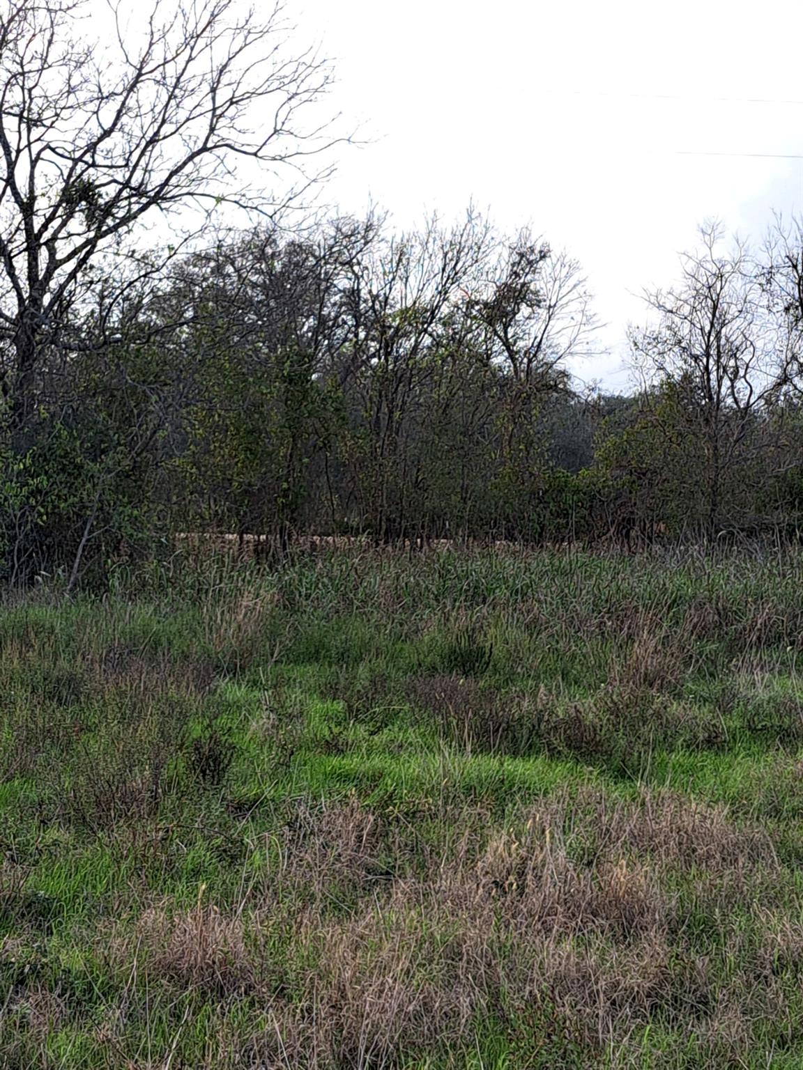 1560 Chalk Rd Property Photo 6