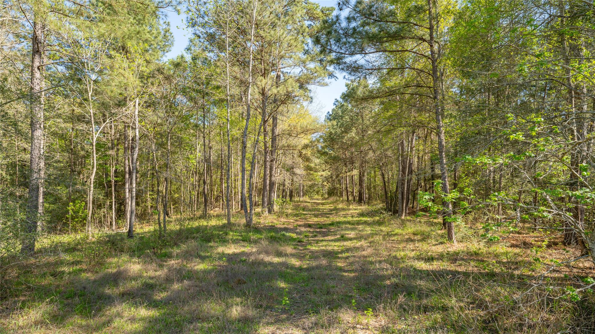 Huntsville Real Estate Listings Main Image