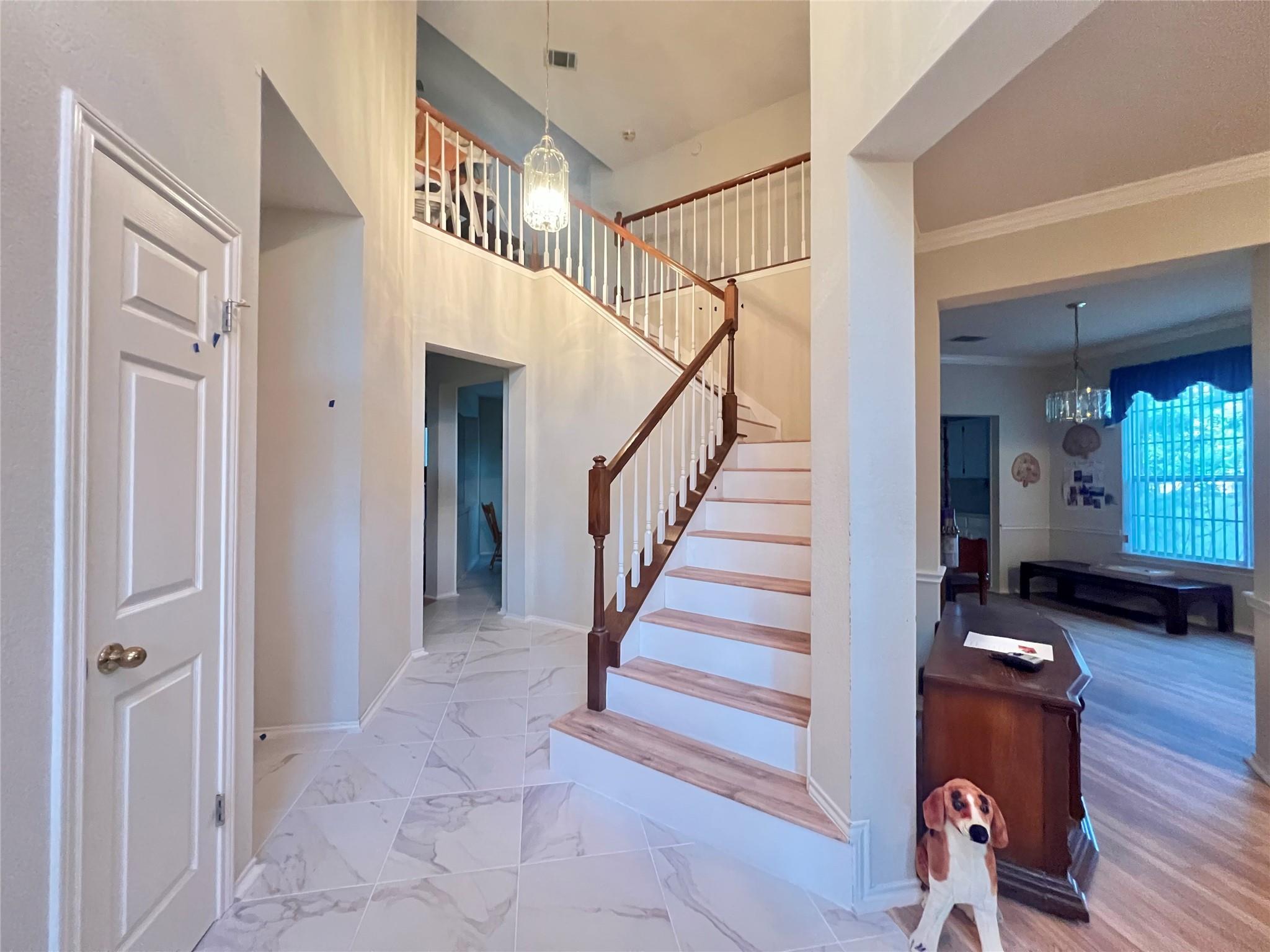 1105 Ravens Cv Property Photo 2