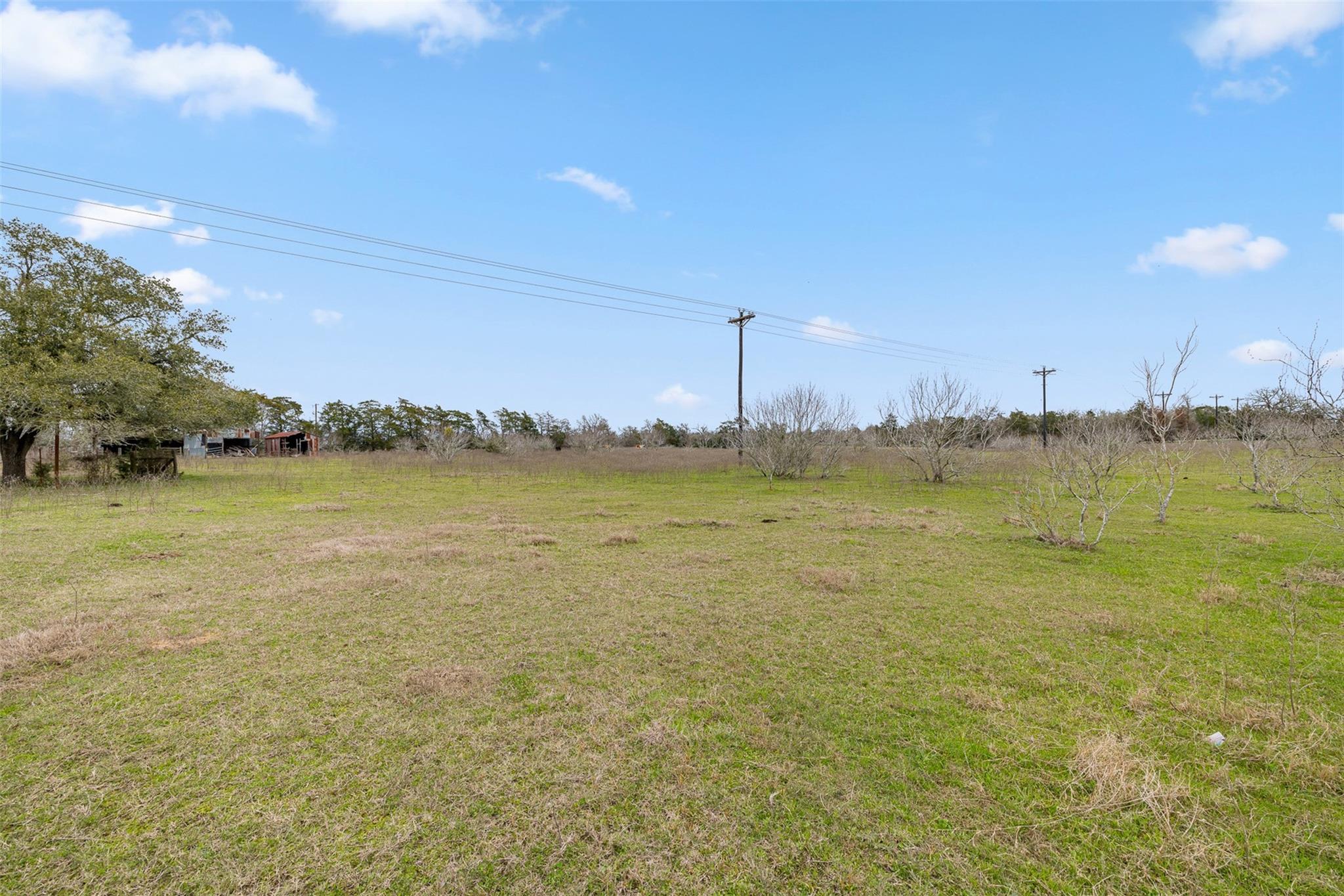 533 L4 Grassyville Rd Property Photo 8