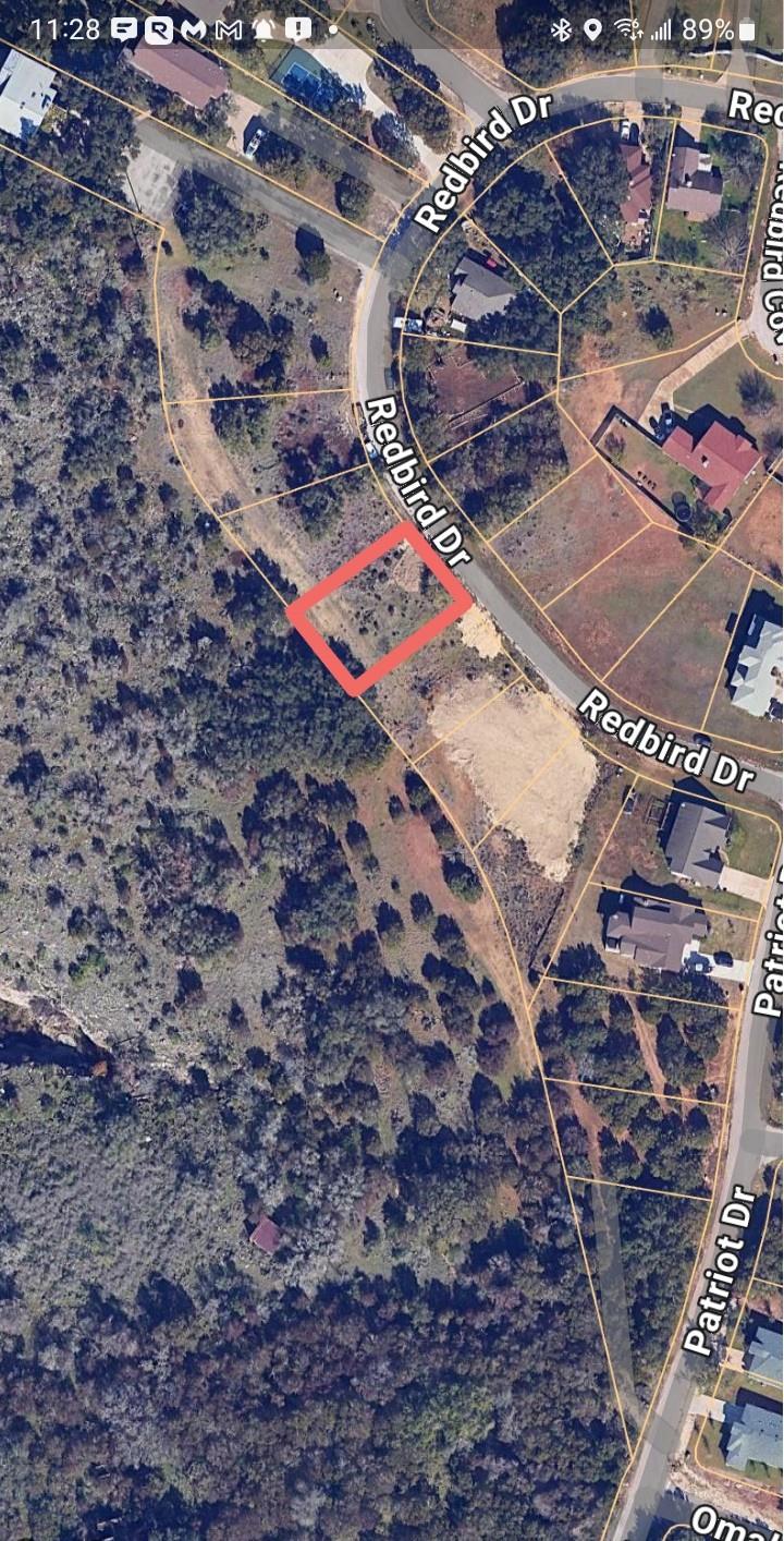 22009 Redbird Dr Property Photo 3