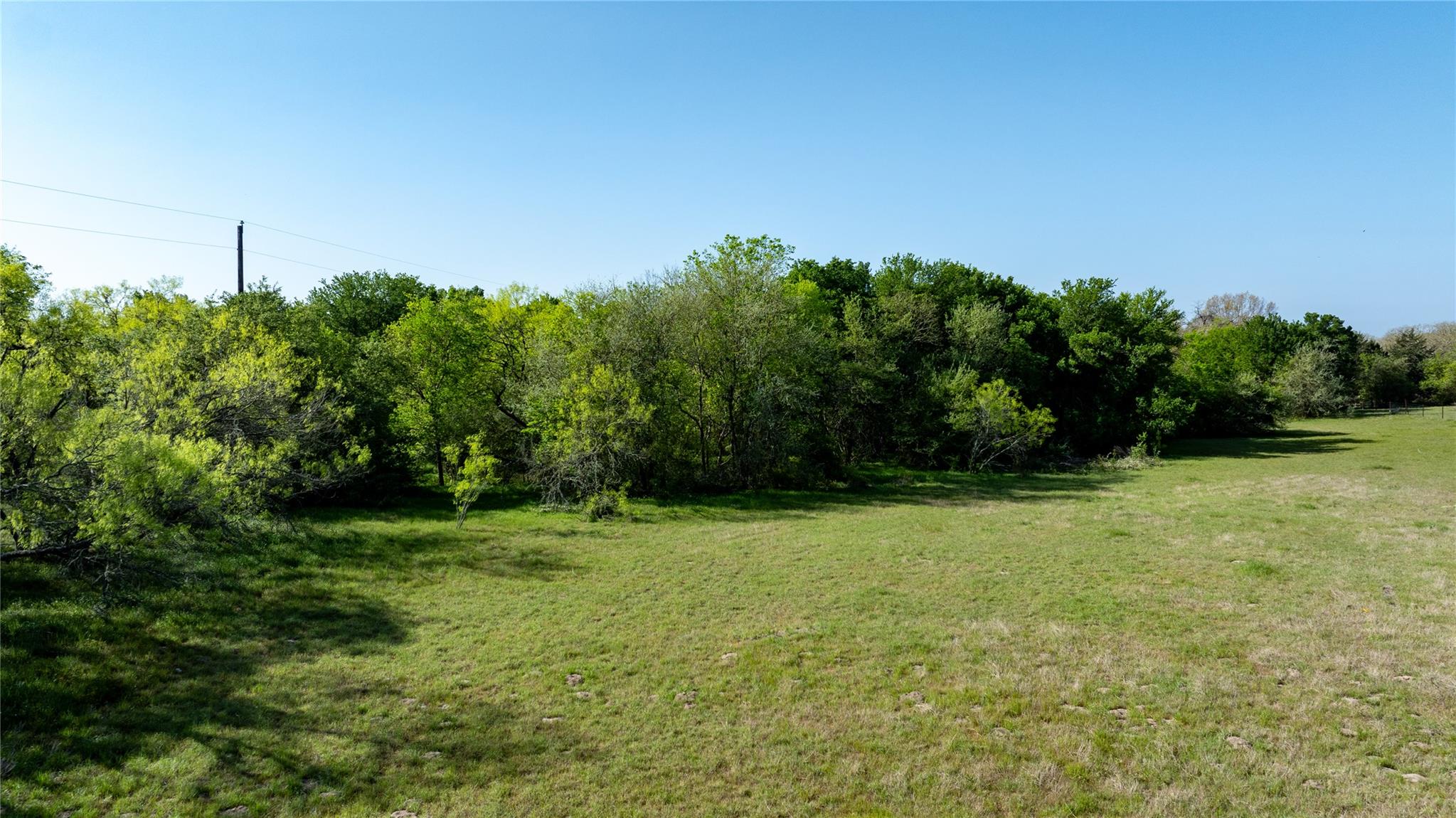 6575 Taylorsville Rd Property Photo 6