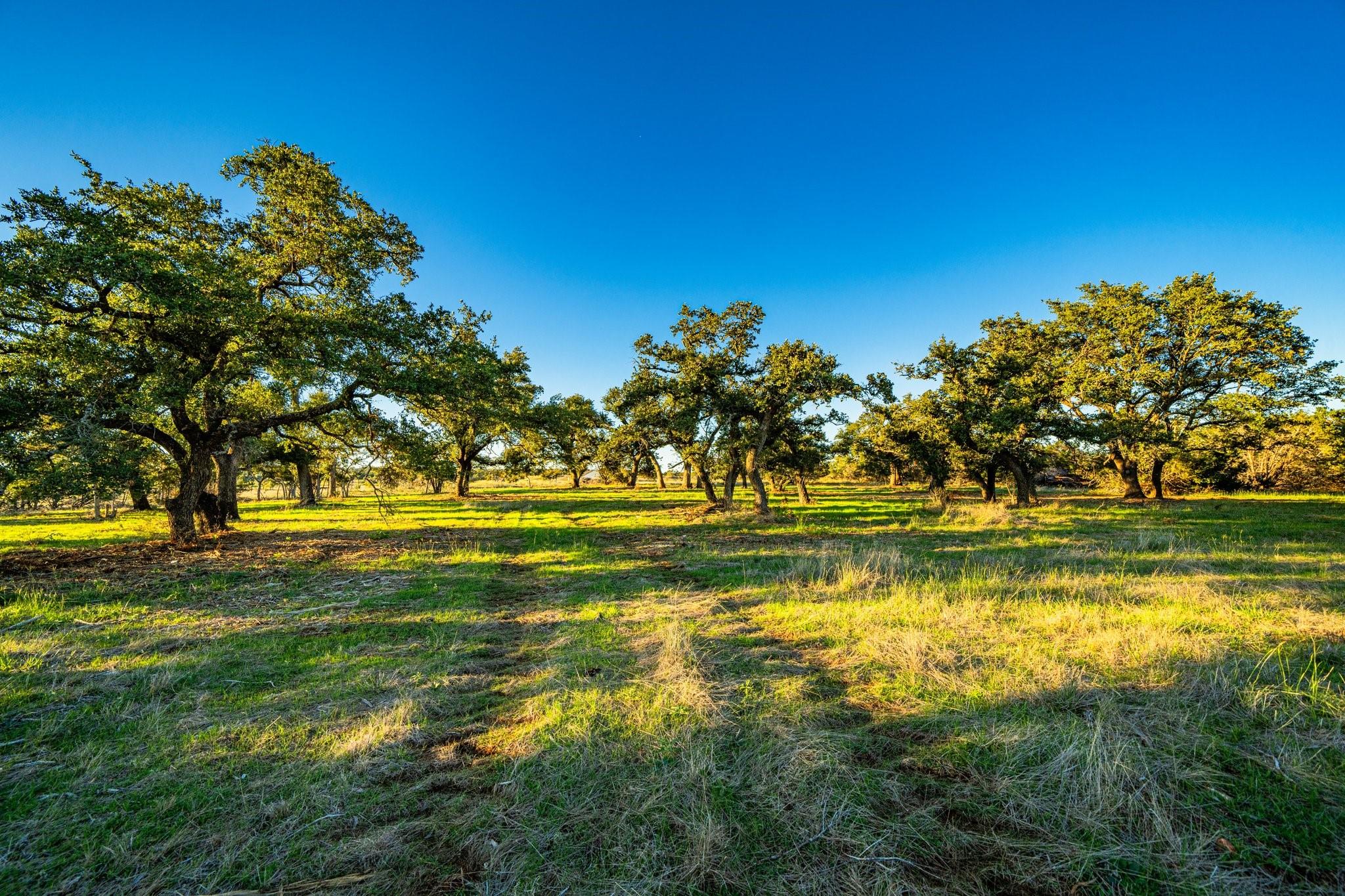 Tbd Fm 2843 Property Photo 15