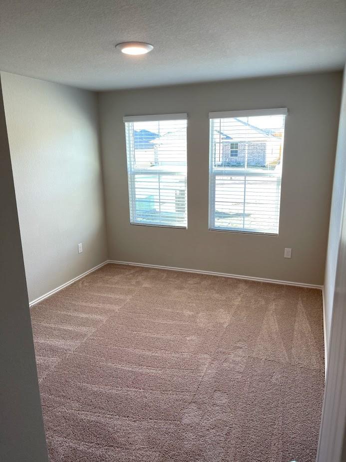 5901 Xene Dr Property Photo 14