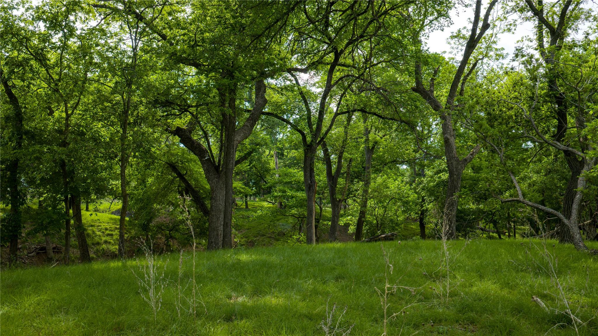11290 E Us Highway 290 None Property Photo 7