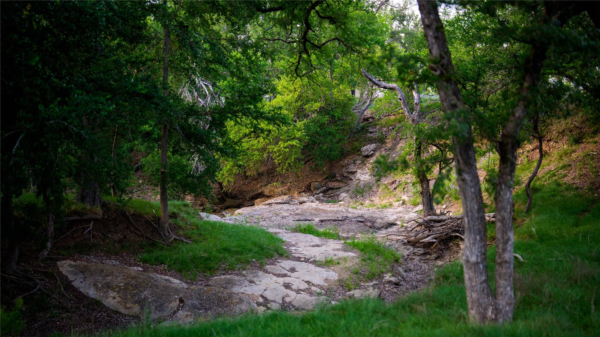 11290 E Us Highway 290 None Property Photo 12