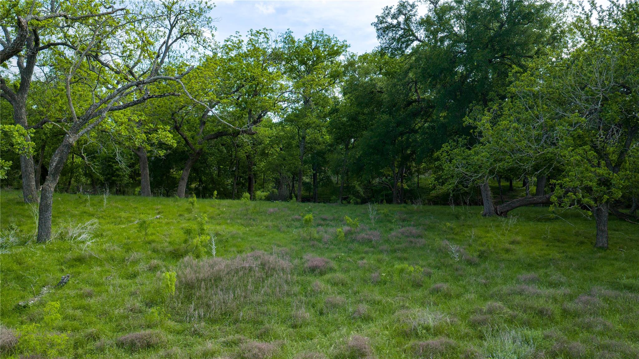 11290 E Us Highway 290 None Property Photo 16