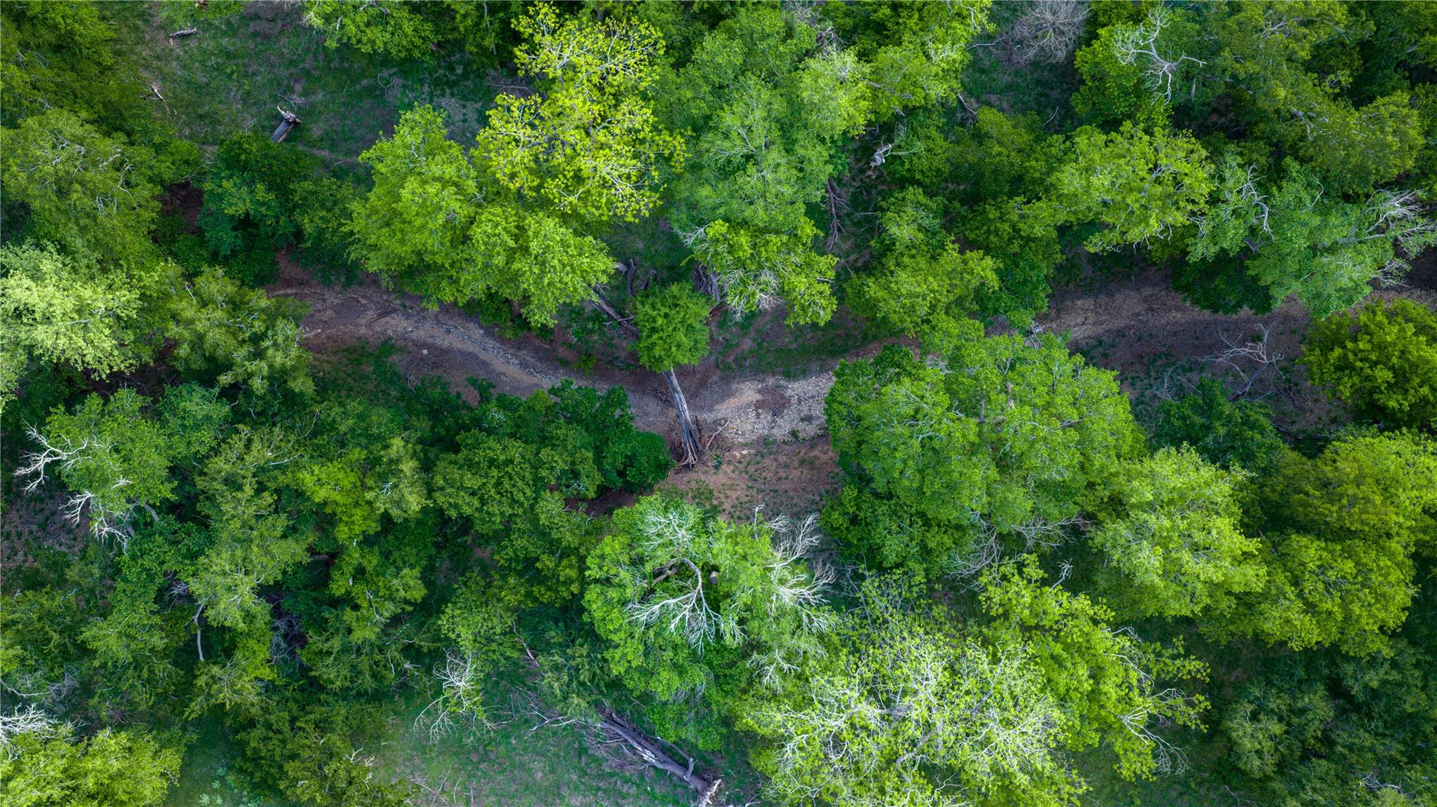 11290 E Us Highway 290 None Property Photo 18