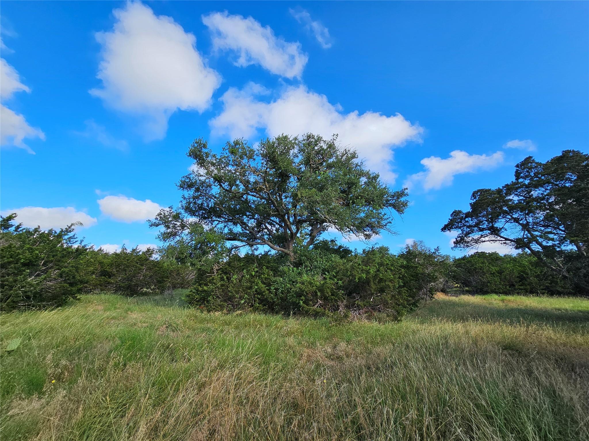 Lot 22 Riparian Elm Rd Property Photo 6