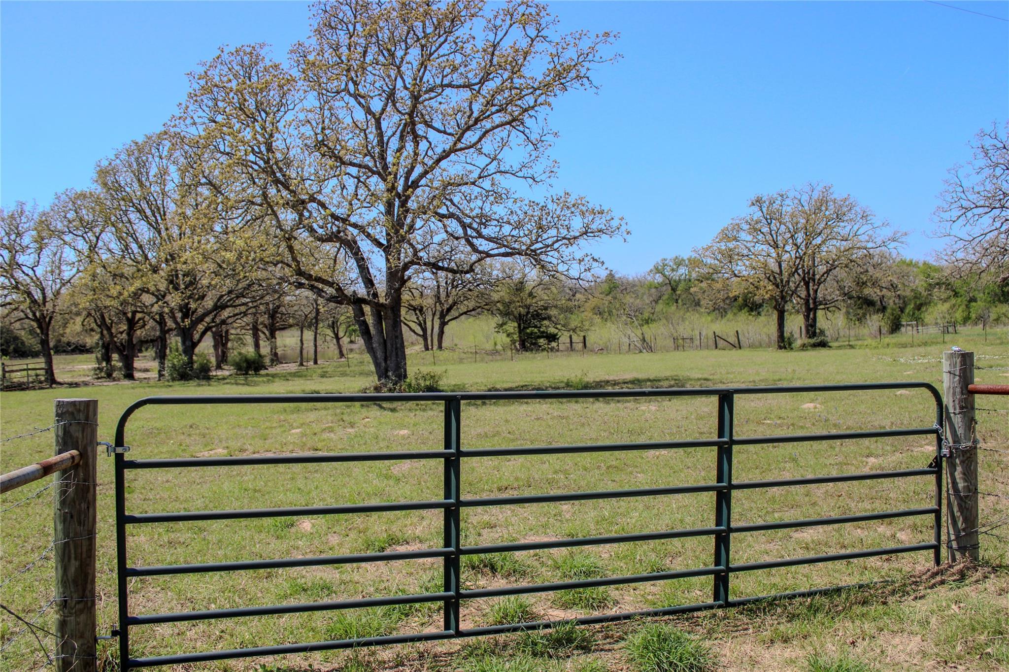 2570 Cr 426 Property Photo