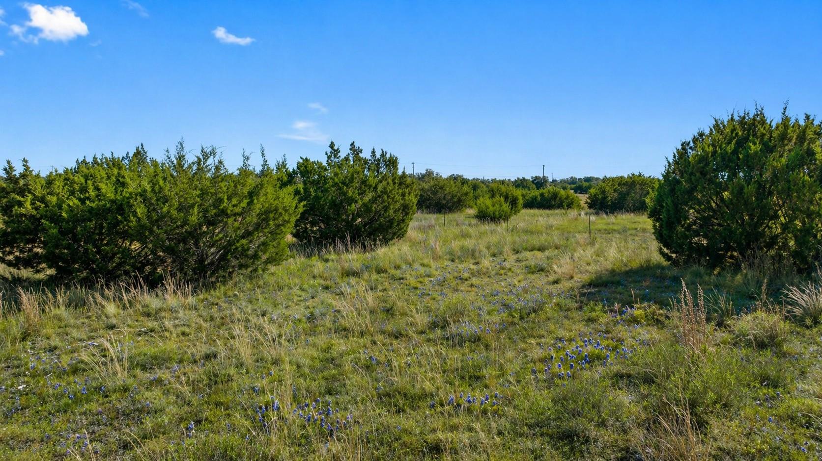 386 Appaloosa Run Property Photo 3