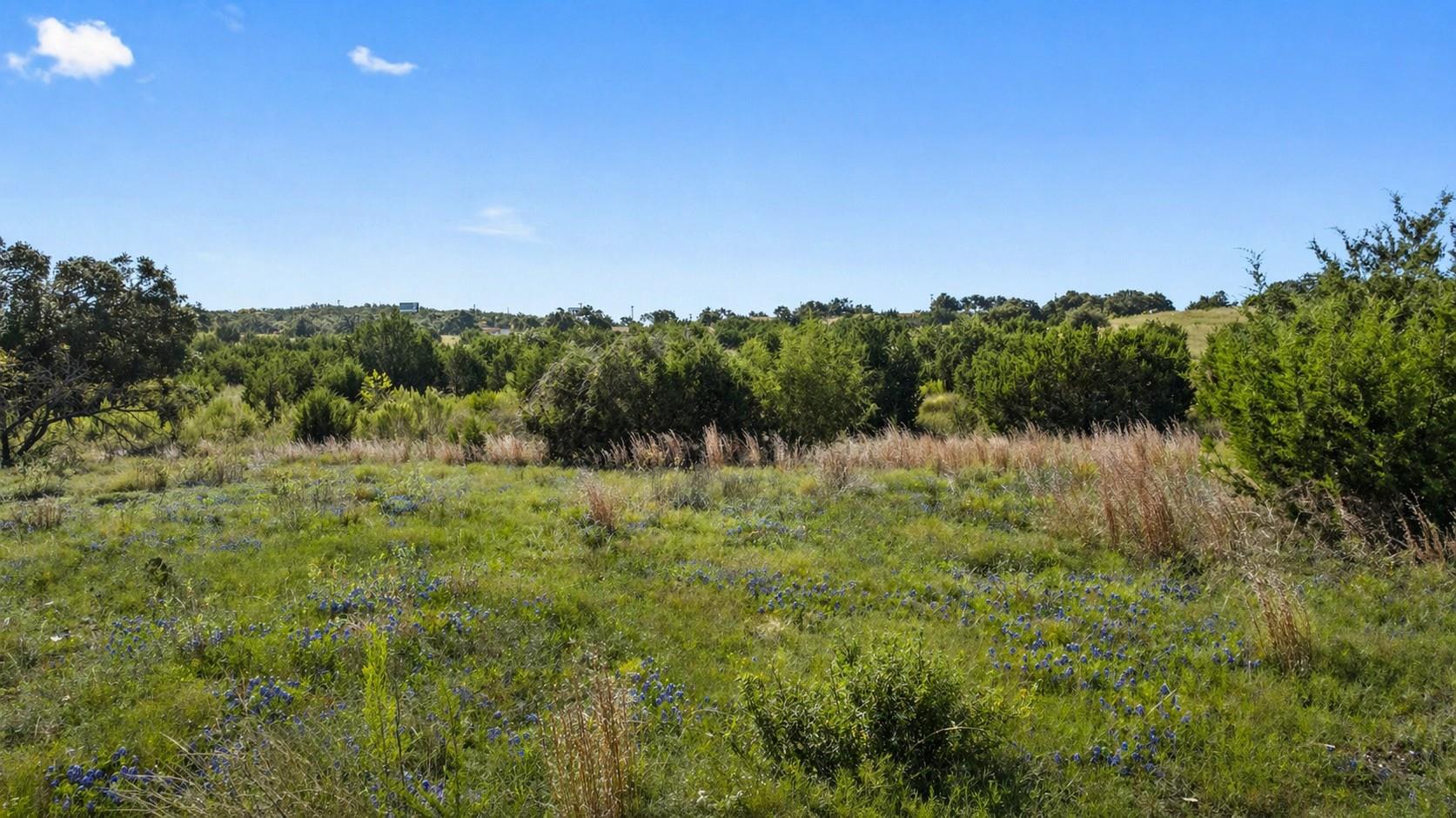 386 Appaloosa Run Property Photo 7