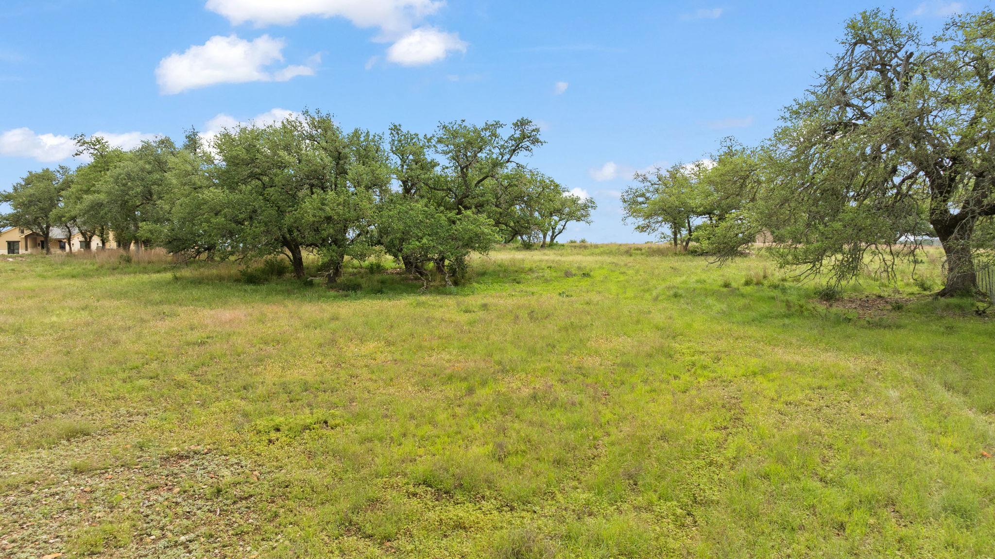 120 Trophy Oak Pt Property Photo 22