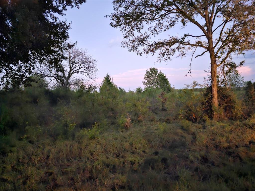 350 Hayfield Ranch Rd Property Photo 4