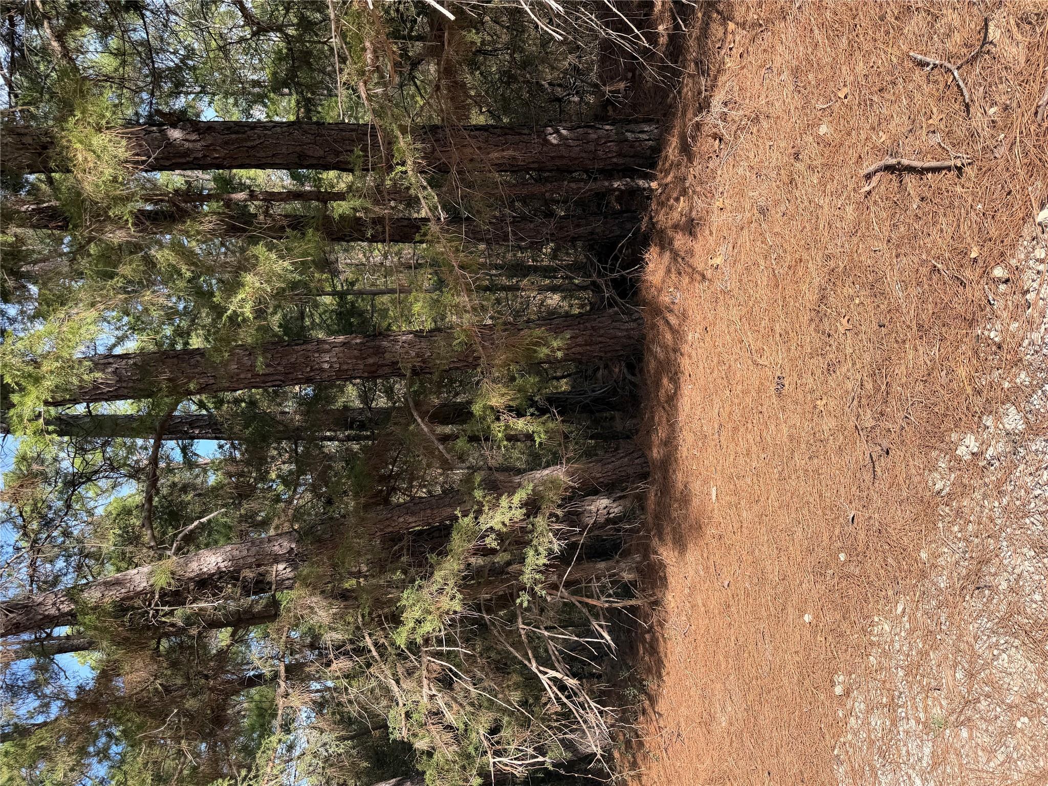 Lot 266 Wainee Dr Property Photo 1