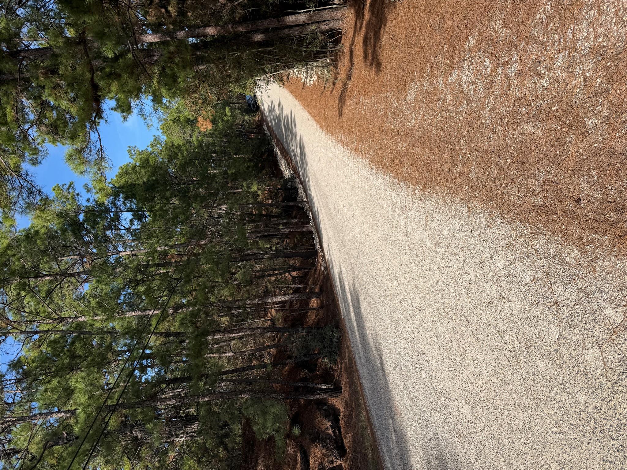 Lot 266 Wainee Dr Property Photo 2